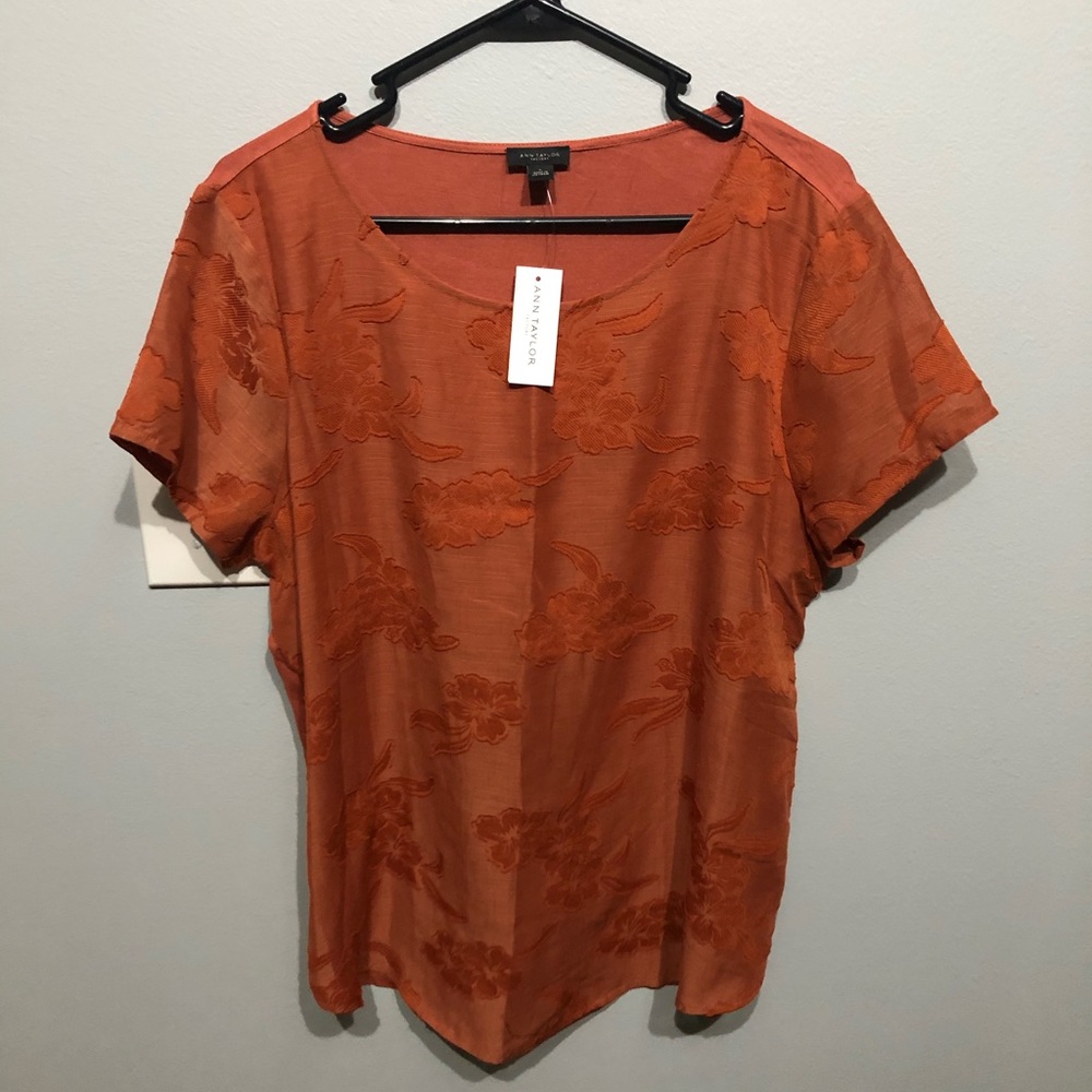 Ann Taylor women’s large NWT retails $50